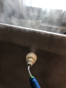 traitement des punaises de lit Lyon