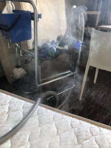 exemple de désinfection de punaises à Lyon